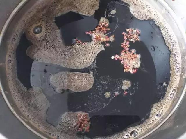 用了多年的腌糖蒜秘方，又脆又甜超好吃，方法简单，分享给大家