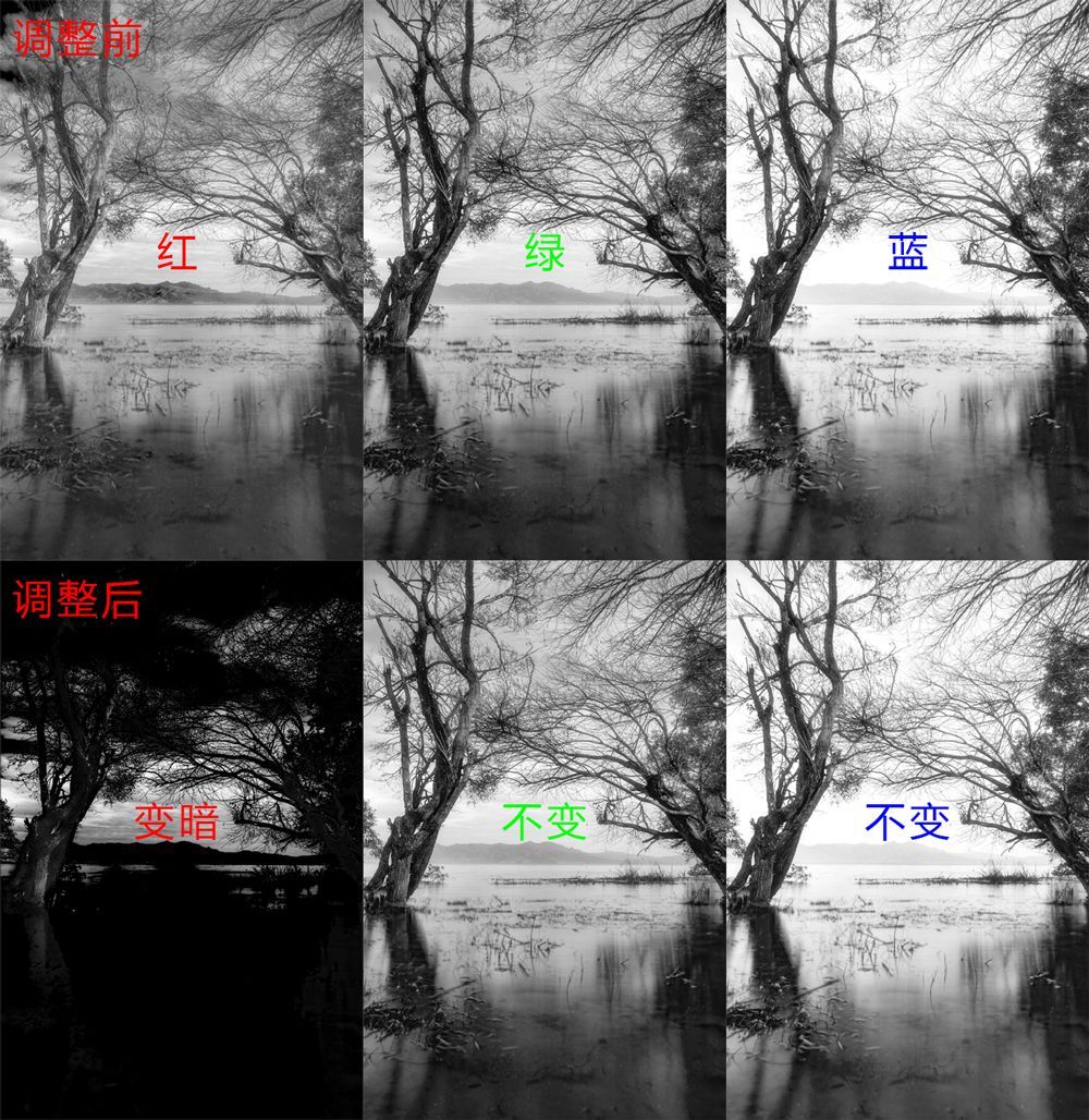 曲线要怎么记容易学得快,曲线难学吗