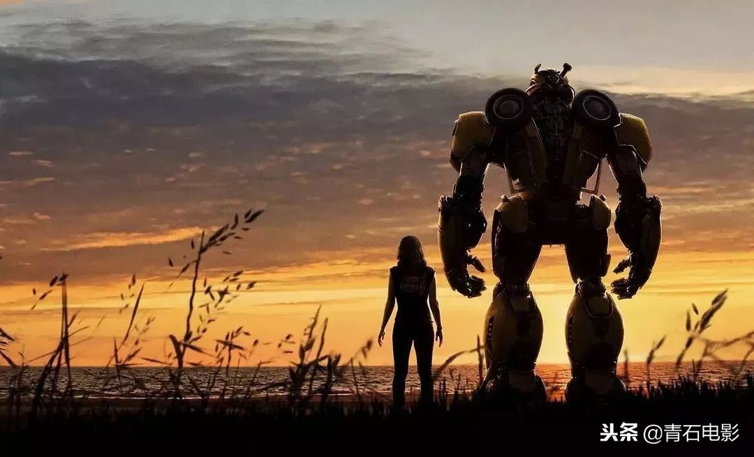 大黄蜂和包贝尔,包贝尔新片上线三天热度猛冲第一