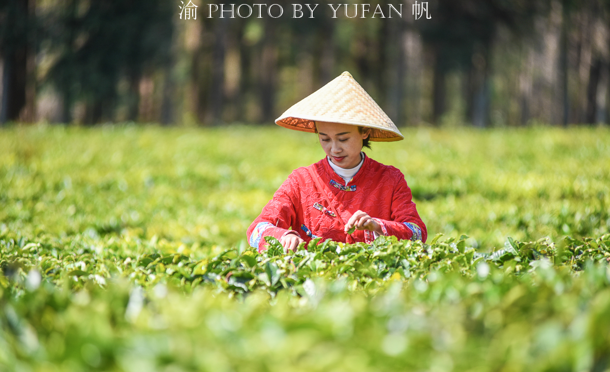 七彩云南旅游真实感受,什么是七彩云南