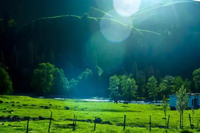 国家认证！*疆新**又一城市成为“中国天然氧吧”，大自然“空调房”就在……