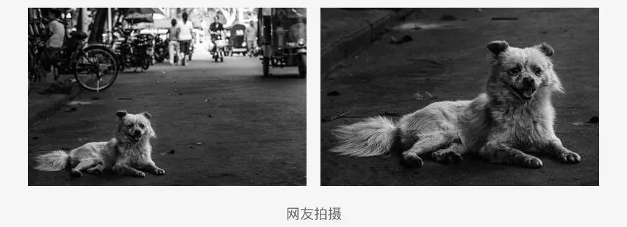 最全面的设计师图片设计入门手册