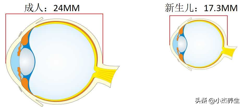 关爱孩子视力从小做起,关爱儿童视力专业护眼
