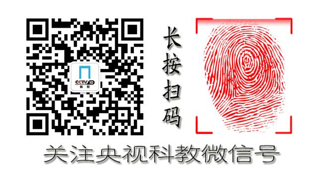 身体起疙瘩干燥免疫力低下,记忆力衰减皮肤干燥缺什么