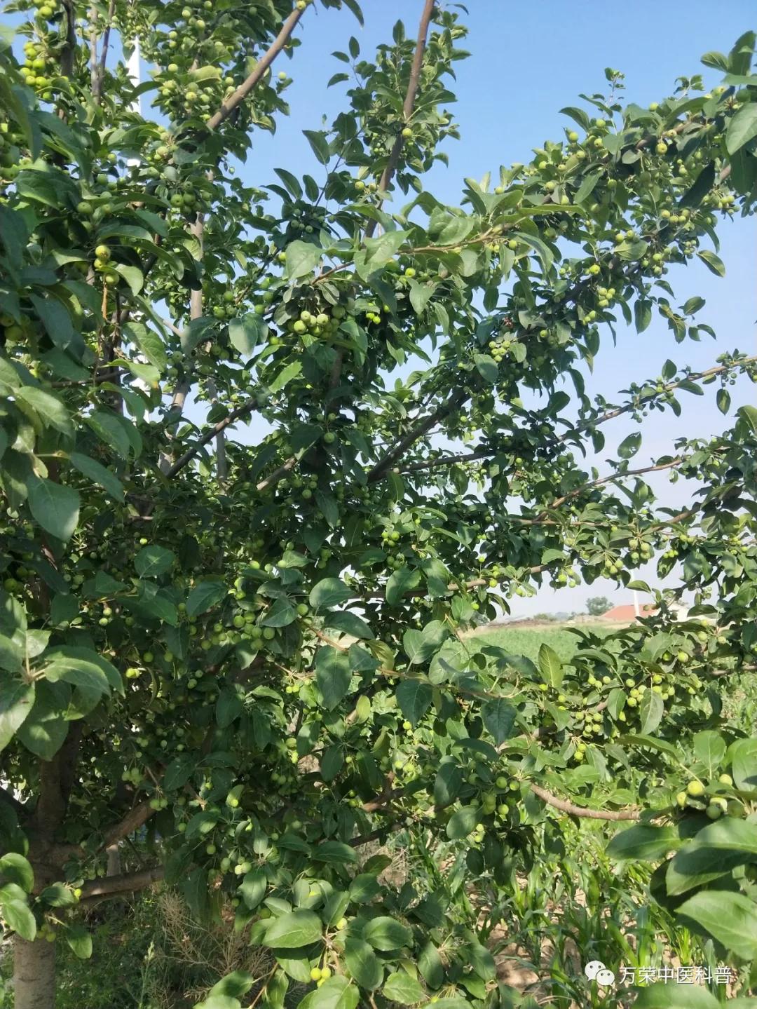 跟我回家在线免费看,跟我回家免费看