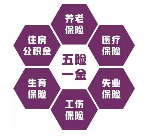 公司只给上五险不上一金为什么,为什么有些入职不缴纳五险一金