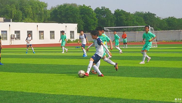 潍坊高新区学校足球联赛,潍坊滨海区足球比赛
