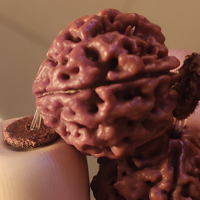 花了一两千，盘了三四年，最后却只能扔进垃圾桶，网友：叫你不信