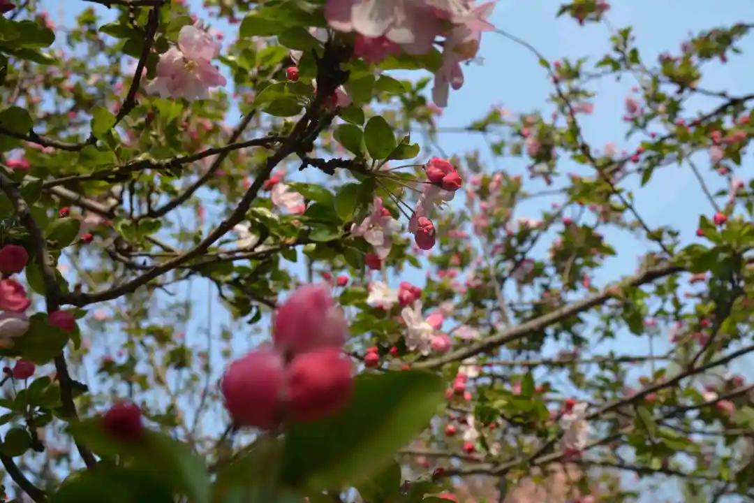 只争朝夕不负韶华百日誓师大会,只争朝夕不负韶华高三百日誓师