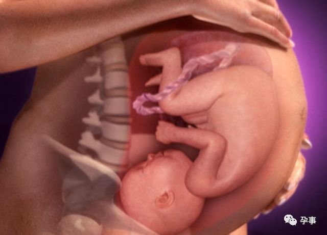 生孩子的真实心酸,生孩子到底有多疼让人体验到绝望