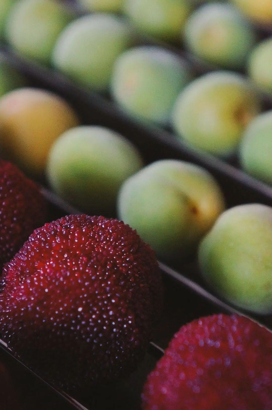 国家地理标志产品仙居杨梅,杨梅地理