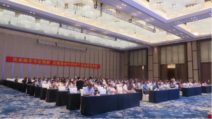 龙兴超极境本草直播间,龙兴超极境本草通心白莲子