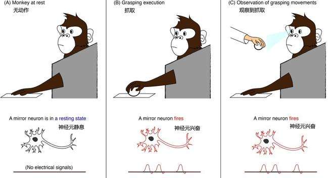 了解情绪的源头，你才能真正懂人性，才能真正调动智慧