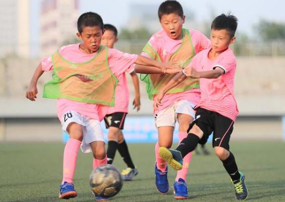 白岩松说足球还能差到哪,白岩松谈足球