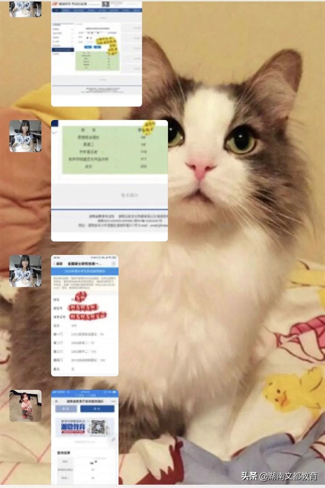 湖南文都老师,文都老师