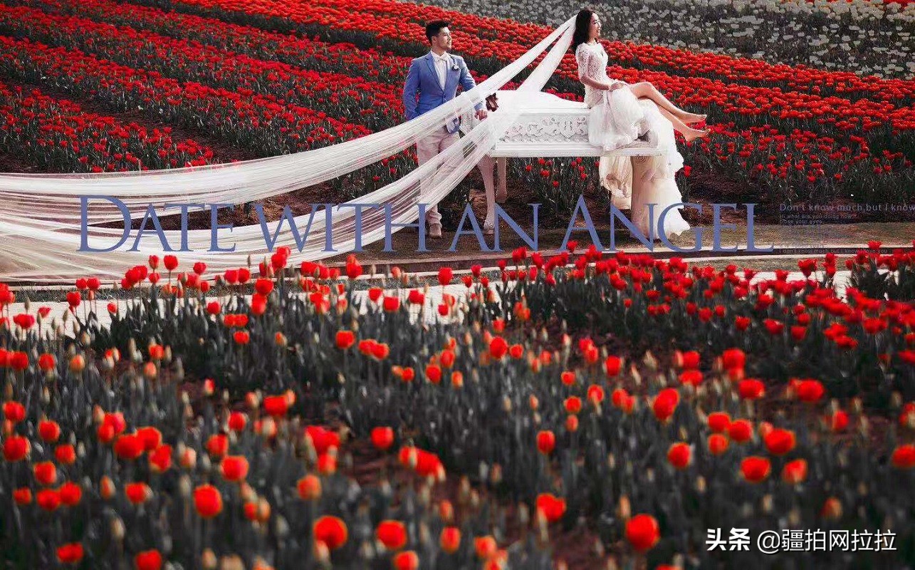 拍婚纱照选衣服攻略,拍婚纱照不会选衣服怎么办