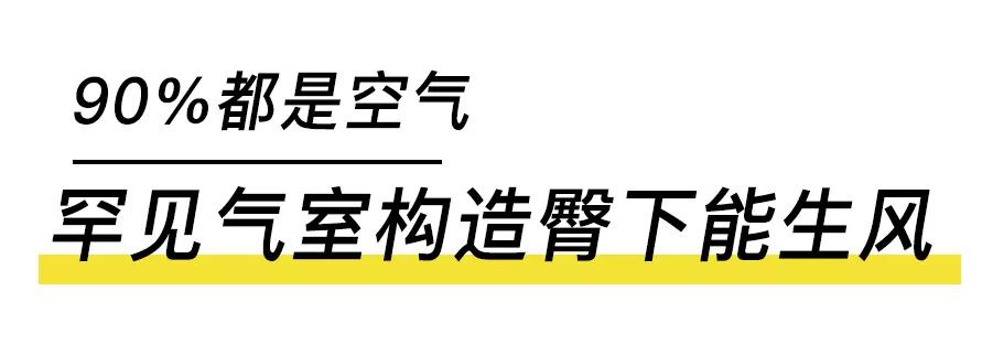 日本发明变态坐垫！让屁股坐在“空气”上，透气、8小时坐不累
