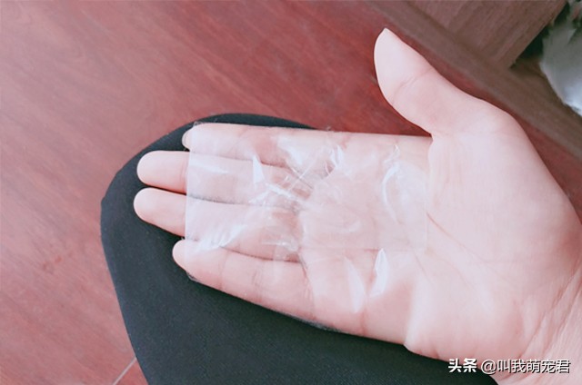 猫狗掉毛有什么好办法吗,如何让猫狗快速掉毛