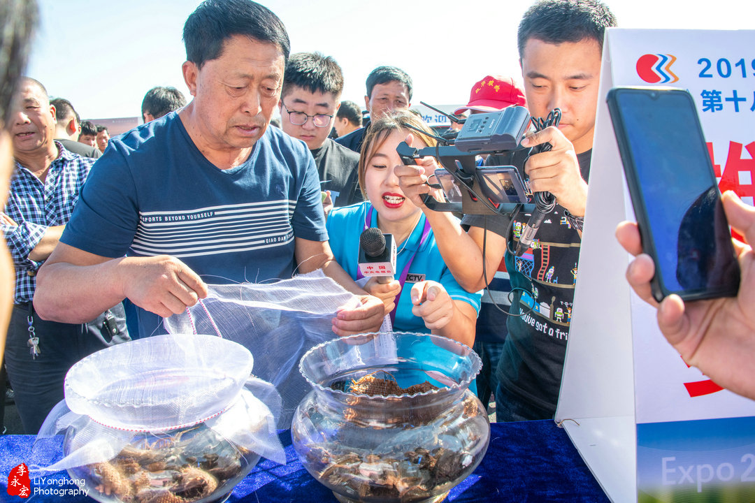 盘锦赵圈河镇河蟹,蟹园盘锦河蟹