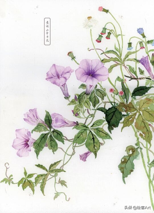 写意国画怎样配色,最好的小写意国画