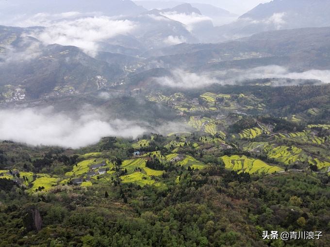 剑门关的“皇豆”是咋回事儿？