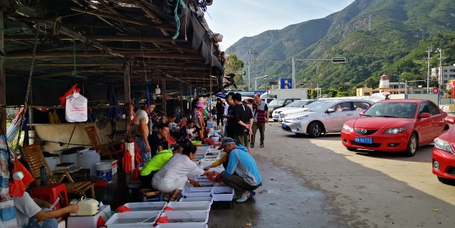 福州最便宜的海鲜渔村,福建海鲜最多的地方是哪里