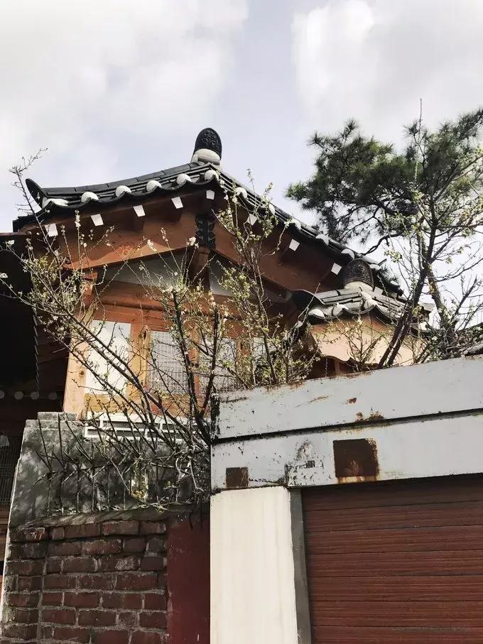 游记｜韩国好像没什么，但女孩子玩起来就是好爽