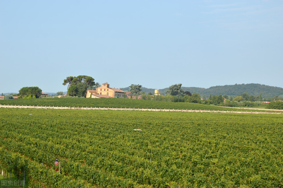 农村最新种植致富项目名单,农村致富种植好项目
