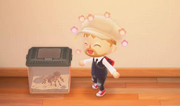 动森变成岛民,动森偶像组合