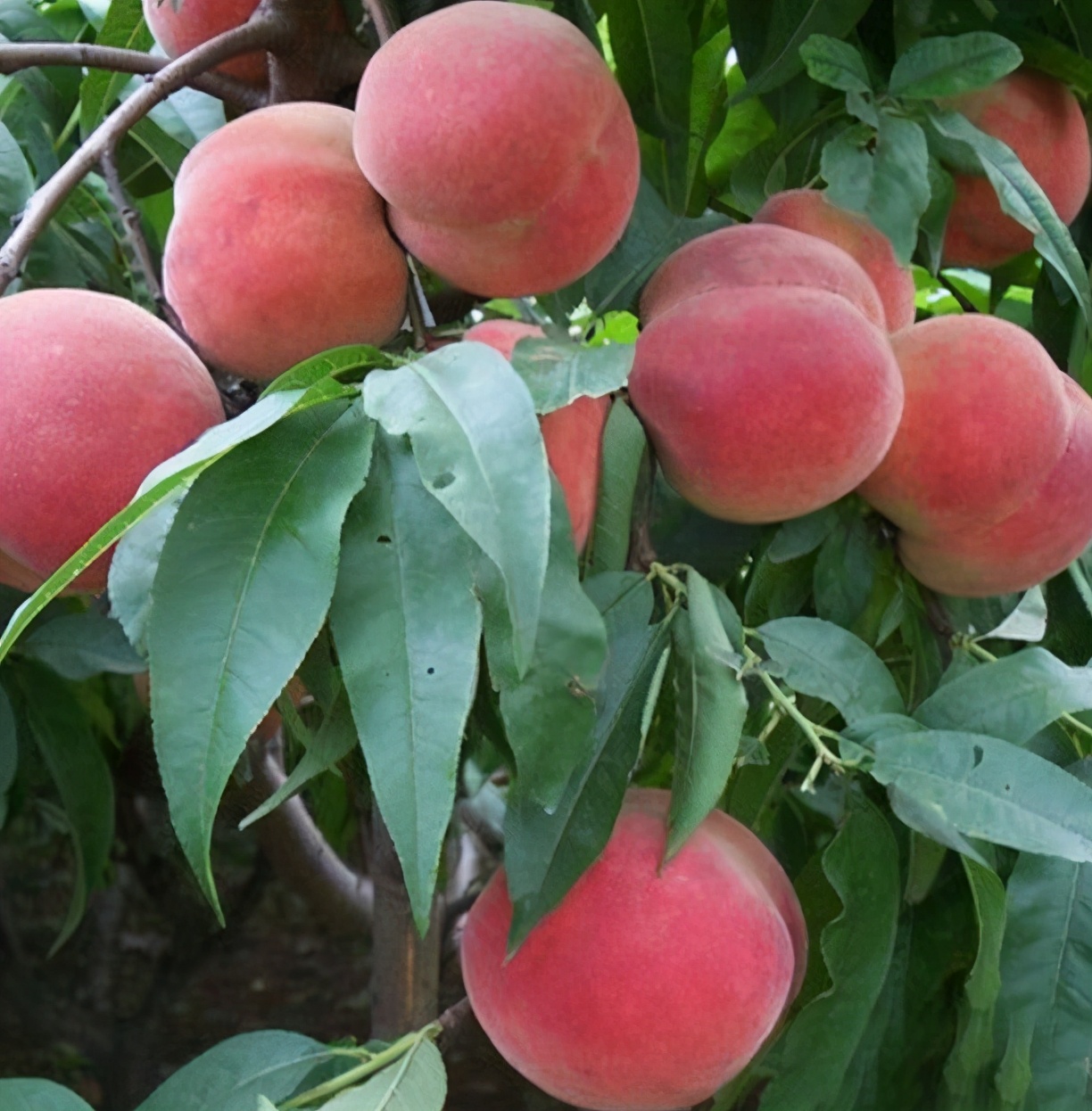 山东平邑周边好玩的地方,山东省平邑县旅行