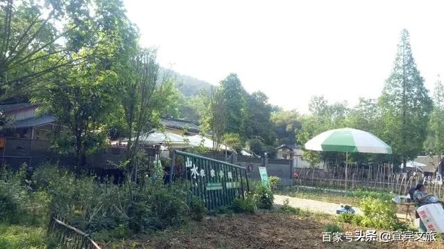 国内赏竹,中国人赏竹