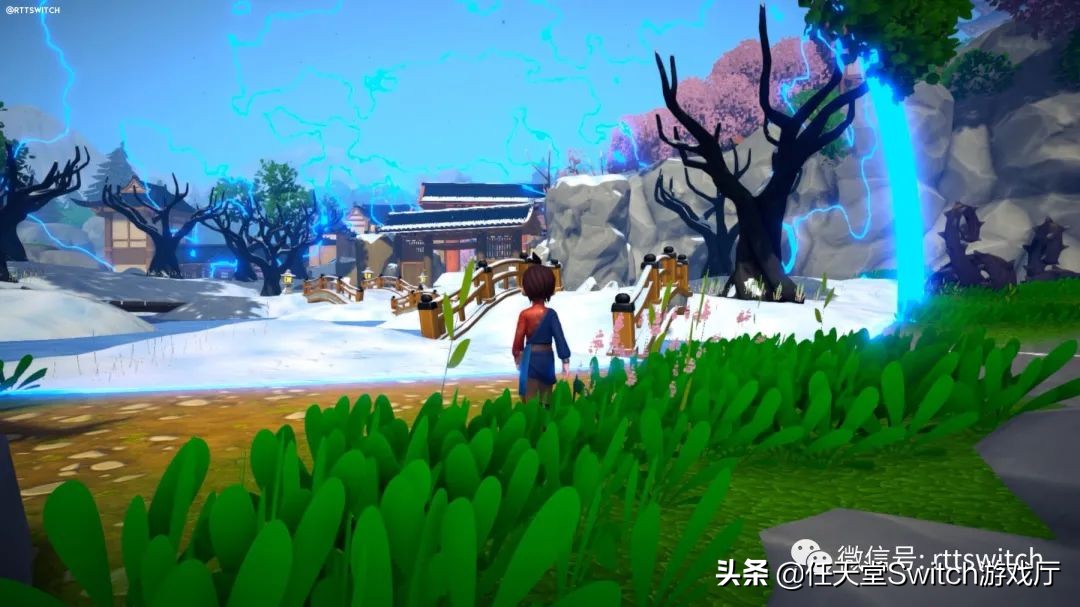 switch塞尔达传说国王之泪60,switch塞尔达传说35周年