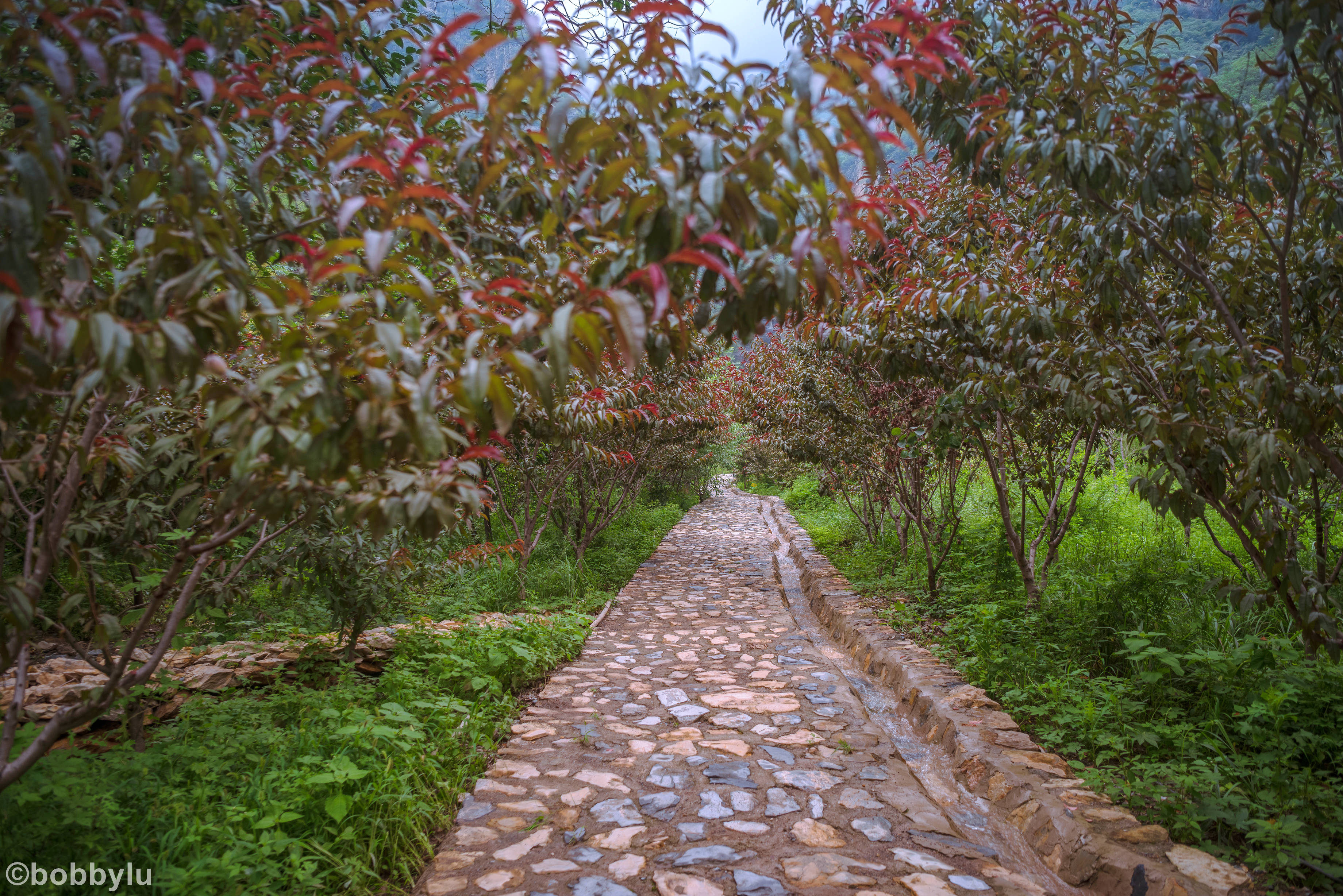 隐藏在深山里的网红景点,隐藏深山古村堪称世外桃源