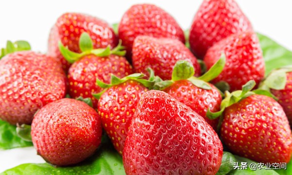 草莓加工酿酒,草莓除了泡酒还可做什么
