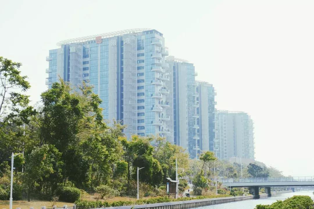 深圳湾公园这里有什么好吃的,深圳湾在哪里