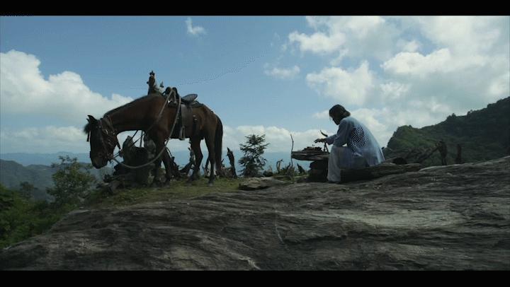 武当来信|老胡:采药酿酒,自在逍遥