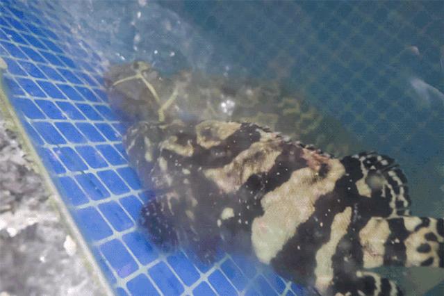 很好奇销售,很好奇为什么叫江浙沪