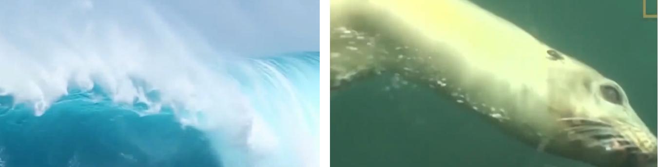 认识八大行星科普视频幼儿,太空九大行星科普类视频儿童