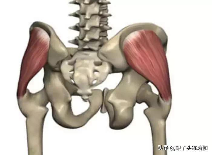不要只关注臀大肌，激活臀中肌，让骨盆稳定臀部更翘