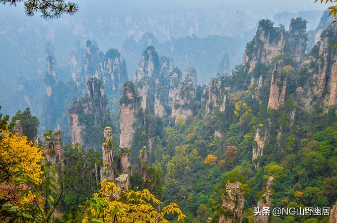 肺炎恢复期能出去旅游吗,肺炎痊愈几天可以外出旅行