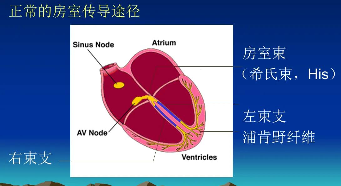 缁欒繙鍦ㄤ粬涔＄殑缃戝弸鎯呬功,缁欒繙鍦ㄤ粬涔＄殑缃戝弸瀵勪粈涔堢ぜ鐗╁ソ