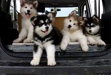 带你了解路亚,带你了解阿勒泰