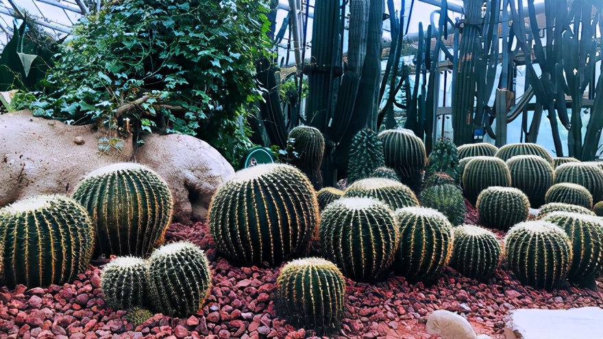 来南京一定要做的50件小事,在南京这个月可以做的12件小事