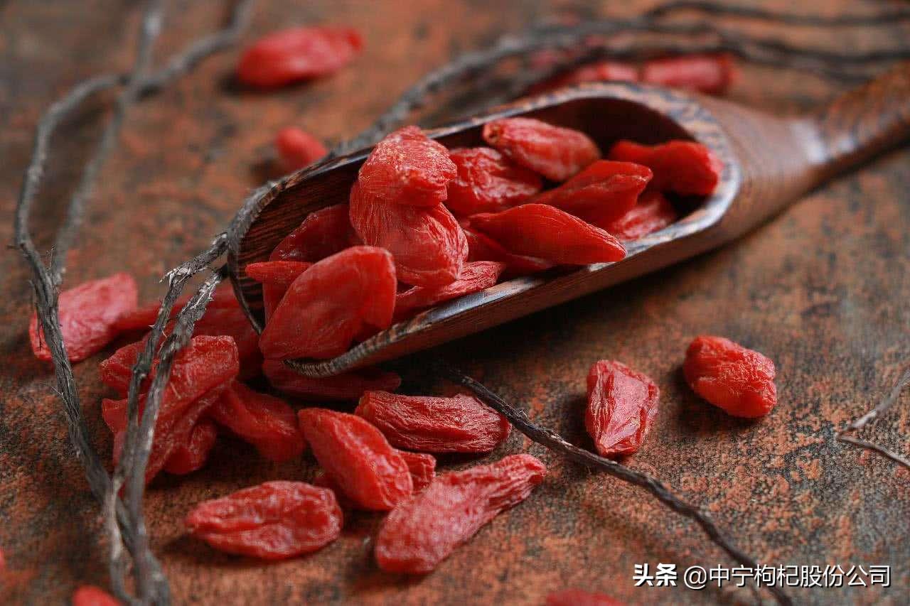 枸杞知识大全100例,枸杞知识大科普