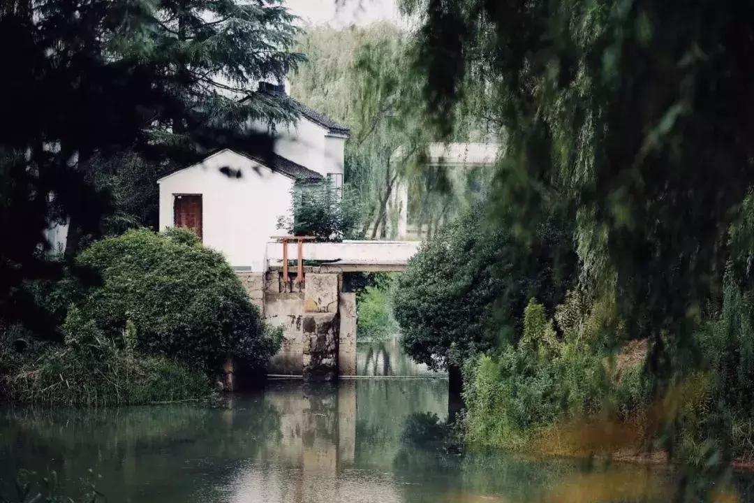 我们不是网红店只是街边的普通店,不是网红店胜似网红店