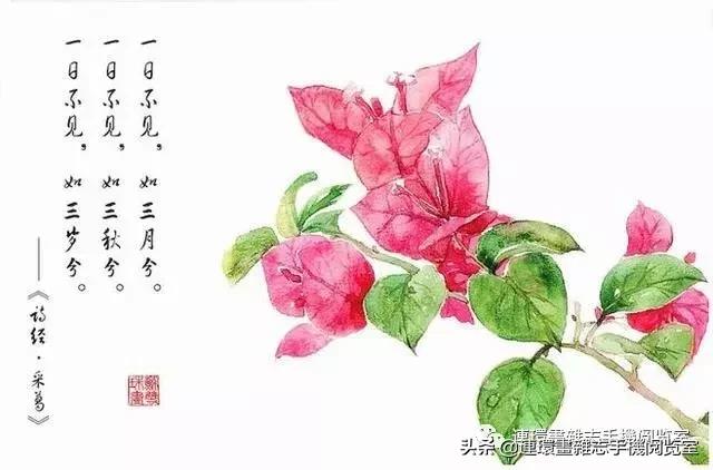 诗经俏皮句,诗经美句朗读