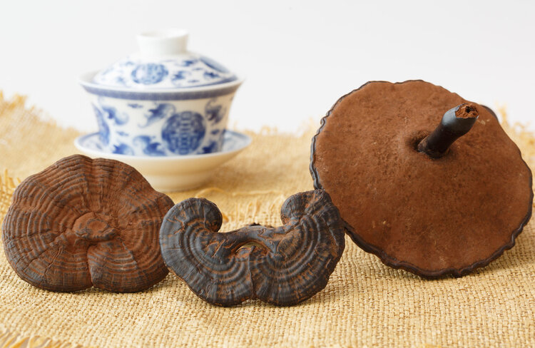 好好的中药药渣应该怎么处理,中药炮制是怎么弄的