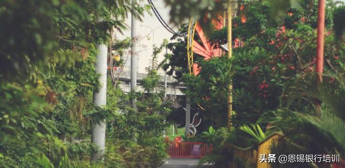 家人为什么反对你创业,为啥父母反对别人辞职