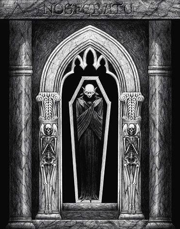 蝙蝠会变成吸血鬼吗,蝙蝠和吸血鬼有什么关系