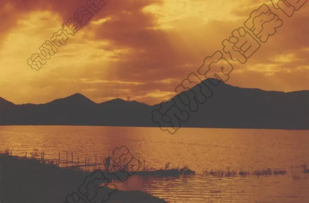 李坤军、叶建英、马锟、李永生丨东南西北，杭州楼市如何＂破茧＂